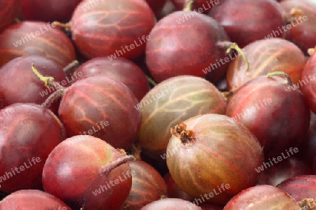 Frische rote Stachelbeeren im Detail