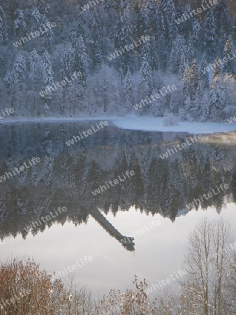 Skiflugschanze 