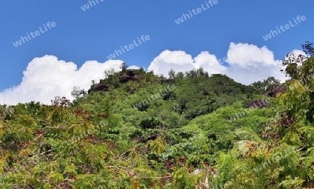 Beautiful impressions of the tropical landscape paradise on the Seychelles islands