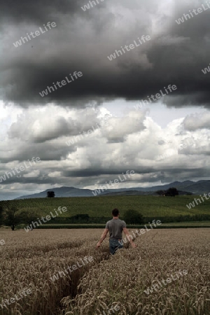 Watching the storm