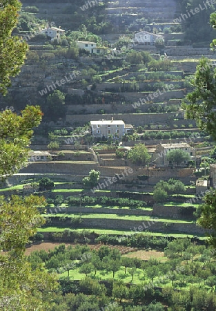 mallorca