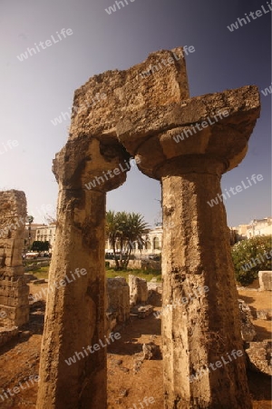 the apollo Temple in the old town of Siracusa in Sicily in south Italy in Europe.