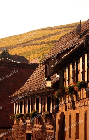  the Village of Turckheim in the province of Alsace in France in Europe