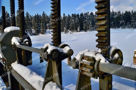 Oderteich im Winter, Harz