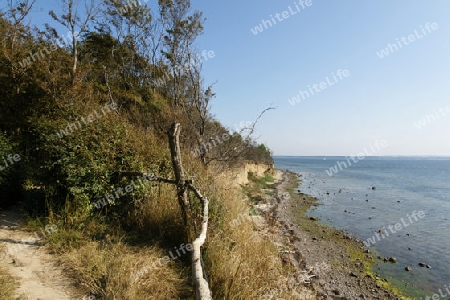 Naturstrand auf der Insel Poel, Ostsee