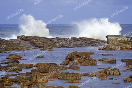 St?rmische See bei Gewitterstimmung am Morgen am Kap der guten Hoffnung, Cape of good Hope, West Kap, western Cape, S?dafrika, Afrika