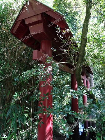 Japanische Garten - Holzdach, umgeben von Pflanzen