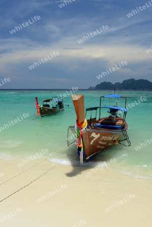 A Beach on the Island of Ko PhiPhi on Ko Phi Phi Island outside of the City of Krabi on the Andaman Sea in the south of Thailand. 