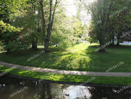 Im Celler Schlosspark