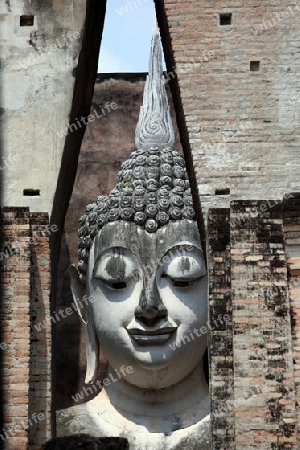 Die Buddha Figur  im Wat Si Chum Tempel in der Tempelanlage von Alt-Sukhothai in der Provinz Sukhothai im Norden von Thailand in Suedostasien.