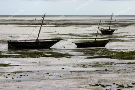 Fishing Boats