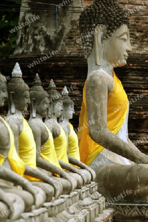 Der Wat Yai Chai Tempel in der Tempelstadt Ayutthaya noerdlich von Bangkok in Thailand. 