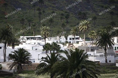 The volcanic Hills near the Village of Haria on the Island of Lanzarote on the Canary Islands of Spain in the Atlantic Ocean.
