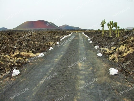 Lanzarote,Stra?e zu den Feuerbergen