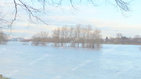 Rheinhochwasser 29.12.12