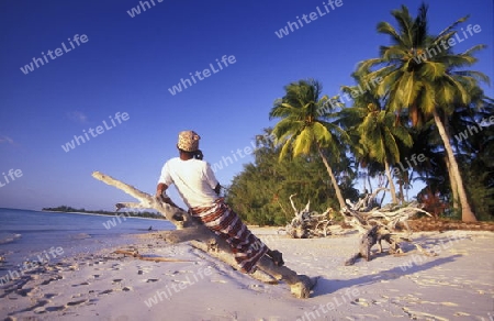 Der Traumstrand  von Michamvi am Chwaka Bay an der Ost-Kueste auf der Insel Zanzibar welche zu Tansania gehoert.         