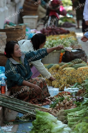 Auf dem Markt in der Altstadt von Luang Prabang in Zentrallaos von Laos in Suedostasien.