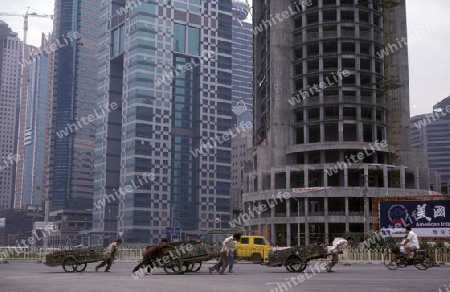 the skyline of Pudong in the City of Shanghai in china in east asia. 