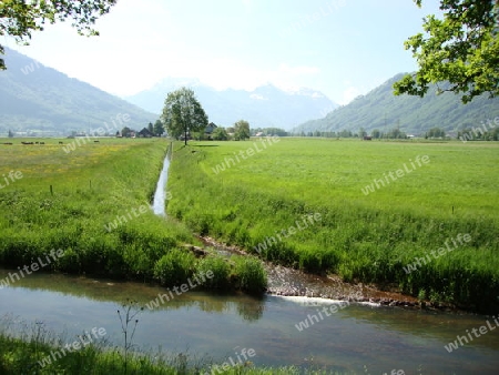 Landschaft im Linthgebiet, Schweiz