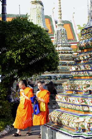 Die Tempelanlage des Wat Pho in der Hauptstadt Bangkok von Thailand in Suedostasien.