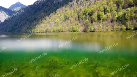 K?nigssee.004