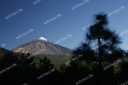 The Volcano Teide on the Island of Tenerife on the Islands of Canary Islands of Spain in the Atlantic.  