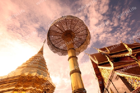 Der Chedi der Tempel Anlage des Wat Phra That Doi Suthep bei Chiang Mai in der Provinz Chiang Mai im Norden von Thailand in Suedostasien.