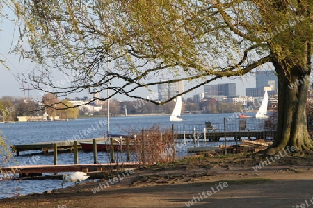 Alster, Hamburg