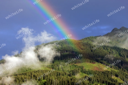 Regenbogen