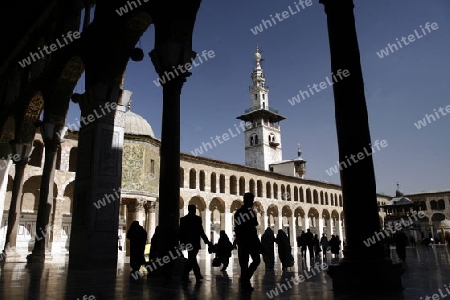 Asien, Naher Osten, Syrien, Damaskus,   Der Innenhof der  Omaijad Moschee im Souq und Altstadt von Damaskus in der Hauptstadt von Syrien. 