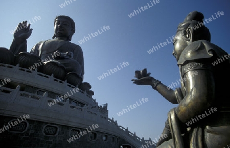 The Giant Buddha on the Island Lantau in Hong Kong in the south of China in Asia.