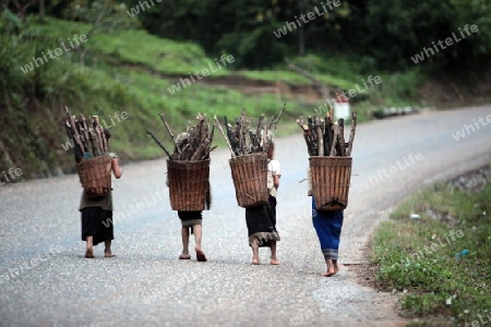 Menschen in der Landschaft in der Bergregion beim Dorf Kasi an der Nationalstrasse 13 zwischen Vang Vieng und Luang Prabang in Zentrallaos von Laos in Suedostasien.  