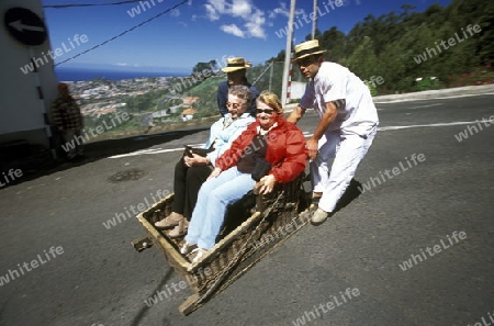 Ein Korbschlitten faehrt von Monte in die Hauptstadt Funchal auf der Insel Madeira im Atlantischen Ozean