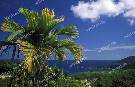 Die Landschaft bei Victoria auf der Insel Mahe der Inselgruppe Seychellen im Indischen Ozean in Afrika.