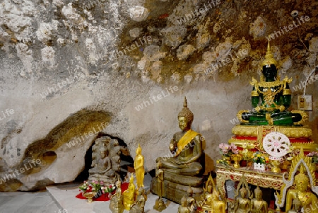 The Temple Wat Tham Seau outside the City centre of Krabi on the Andaman Sea in the south of Thailand. 