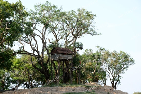 The Lake Village Kompong Pluk at the Lake Tonle Sap near the City of Siem Riep in the west of Cambodia.