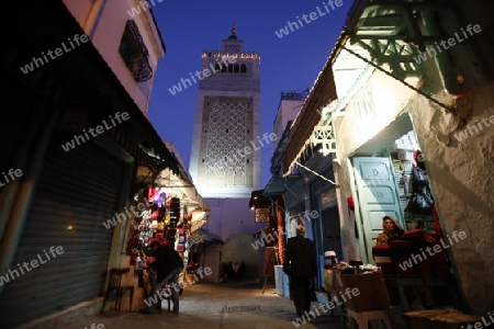 Eine Gasse mit der Moschee Zaytouna oder Grosse Moschee im Souq oder Bazzar in der Altstadt  von Tunis am Mittelmeer in Tunesien in Nordafrika..