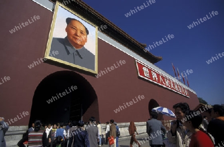 the forbidden city in the city of beijing in the east of china in east asia. 