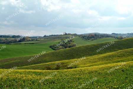 Toscana