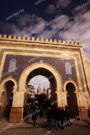 The blue Gate at the Bab Bou Jeloud in the old City in the historical Town of Fes in Morocco in north Africa.