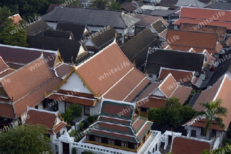 Der Wat Saket unter der Tempelanlage des Goldenen Berg in der Hauptstadt Bangkok von Thailand in Suedostasien.