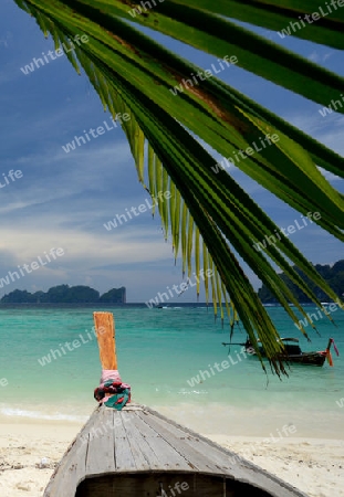 A Beach on the Island of Ko PhiPhi on Ko Phi Phi Island outside of the City of Krabi on the Andaman Sea in the south of Thailand. 