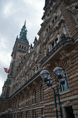 Das Hamburger Rathaus, Tuerme und Dach