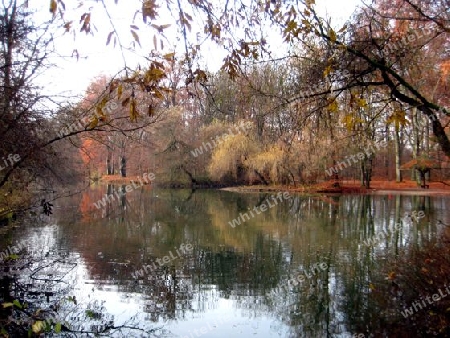 Herbst in Englischer Garten