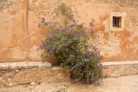 Kloster Arkadi/Kreta