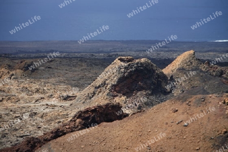 The  Vulkan National Park Timanfaya on the Island of Lanzarote on the Canary Islands of Spain in the Atlantic Ocean. on the Island of Lanzarote on the Canary Islands of Spain in the Atlantic Ocean.
