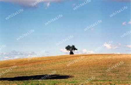 Himmel und Feld