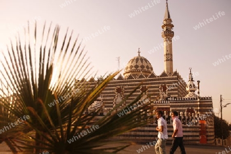 the Abu Darwish Mosque in the City Amman in Jordan in the middle east.