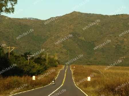 Landstrasse und Zaun bis oben hin