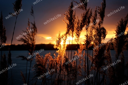 Glauchau Sunset 